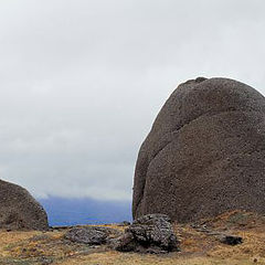 photo "Demerji. Like father and son"