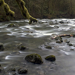 фото "The River"