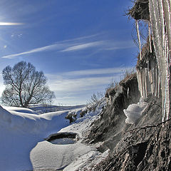 photo "Spring is coming..."