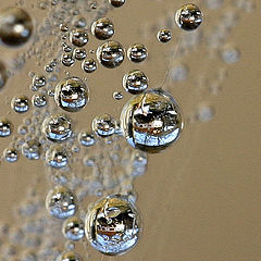 photo "Bubbles (II)"