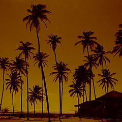 фото "Jericoacoara beach, PI, Brazil"