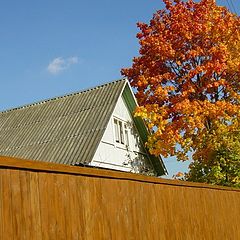 photo "Small house."