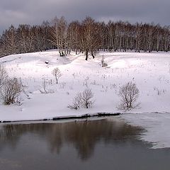 фото "и вдруг мелькнуло солнце..."