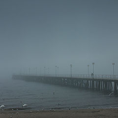 photo "Fog"