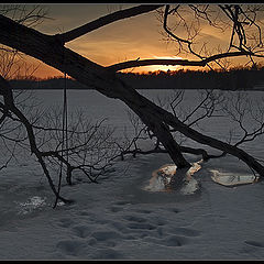 photo "Snow Melting"