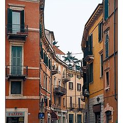 photo "united colors of verona"