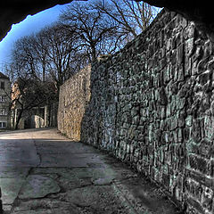 фото "the gothic wall"