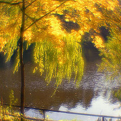 photo "Back streets of autumn 2"