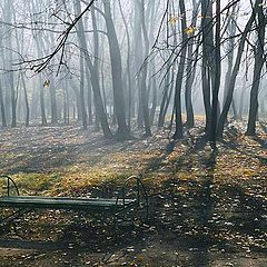 фото "Утро в парке"