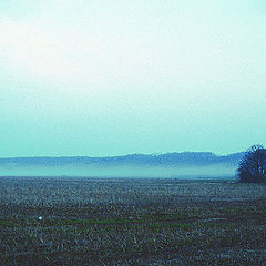 photo "Fog"