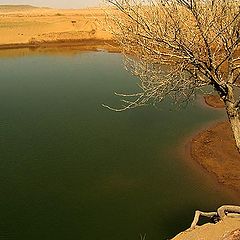 фото "The Lake in Desert"