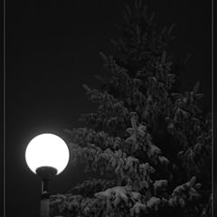 photo "The midnight etude with artificial moon"