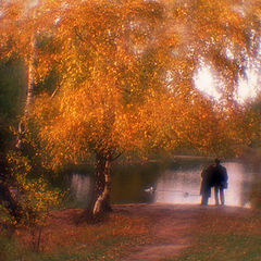 photo "Back streets of autumn 3"