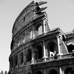 фото "Coloseo"