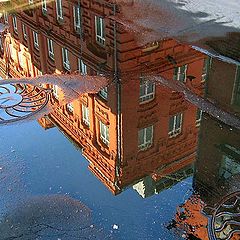 photo "Untitled photo"