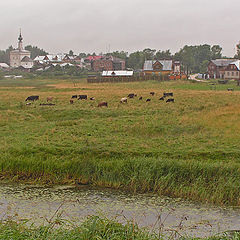 photo "Quiet landscape"