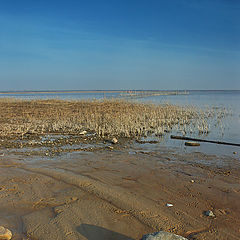 photo "Lebsko lake"