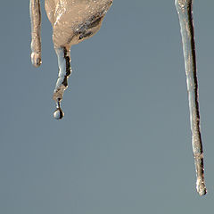 photo "...golden ice..."