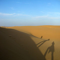 фото "The Shadows"