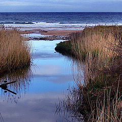 фото "runing to the sea"