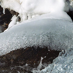 photo "Ice snail"