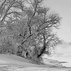 photo "Winter coast"