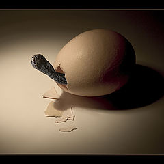 photo "from a life of matches #9: a birth"