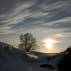 photo "Spring is coming..."