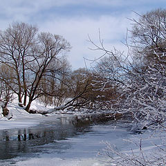 фото "р. Лужа"