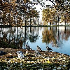 photo "Last days of autumn"