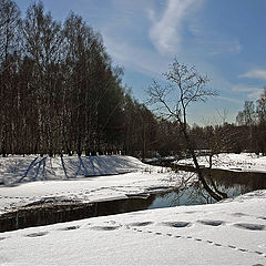 photo "Traces of the Yeti"