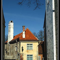 photo "Tallinn. The top city."