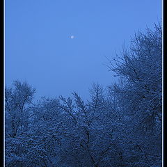 фото "Зимнее утро"
