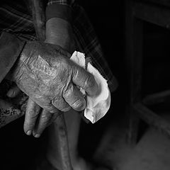 photo "Conversation on kitchen"