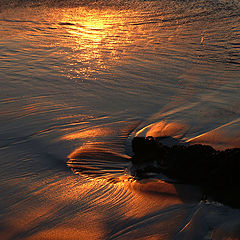 photo "Sunset in the sand"