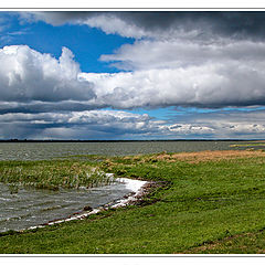 photo "Spring Wind"