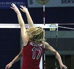 photo "A hands - are main thing in volleyball"