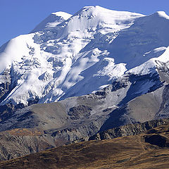 фото "Вершина"