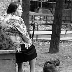 photo "a Lady with her dog"