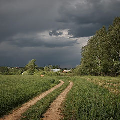 фото "Перед грозой"