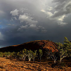 фото "East MacDonnell"