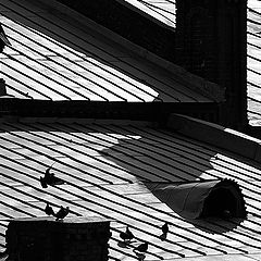 photo "geometry of roofs"