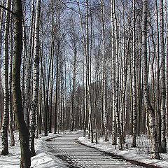 photo "At parting with a winter..."