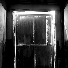 photo "door"