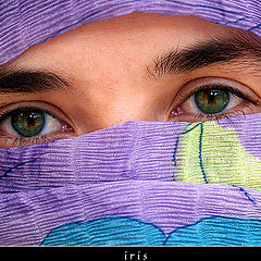 фото "find the eyes III"