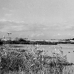 фото "Duck Lake"