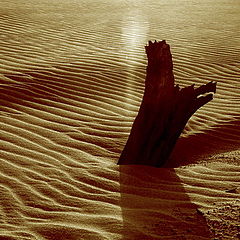 photo "Sand & Mood"