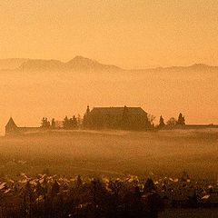 фото "Ptuj in morning fog"