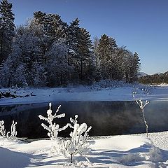 photo "Winter landscape"