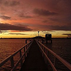 photo "Mission Bay Bridge II"